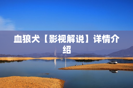 血狼犬【影视解说】详情介绍 血狼犬【影视解说】详情介绍