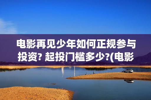 电影再见少年如何正规参与投资? 起投门槛多少?(电影 再见少年)
