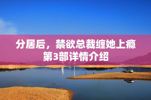 分居后,禁欲总裁缠她上瘾第3部详情介绍 分居后,禁欲总裁缠她上瘾第3部详情介绍
