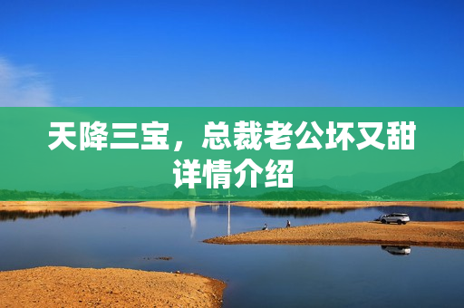 天降三宝，总裁老公坏又甜详情介绍