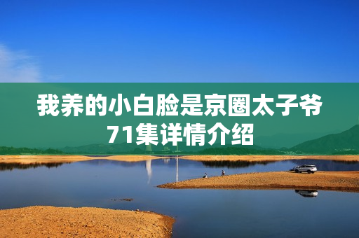 我养的小白脸是京圈太子爷71集详情介绍 我养的小白脸是京圈太子爷71集详情介绍
