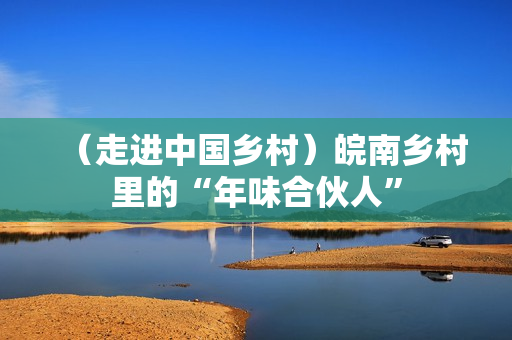 （走进中国乡村）皖南乡村里的“年味合伙人”