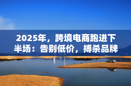 2025年，跨境电商跑进下半场：告别低价，搏杀品牌