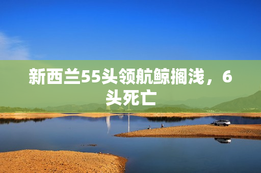 新西兰55头领航鲸搁浅，6头死亡