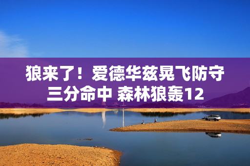 狼来了！爱德华兹晃飞防守三分命中 森林狼轰12