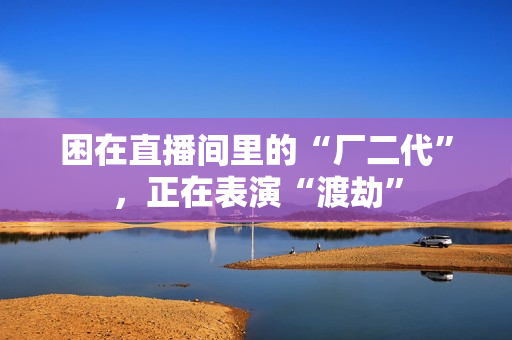 困在直播间里的“厂二代”，正在表演“渡劫”