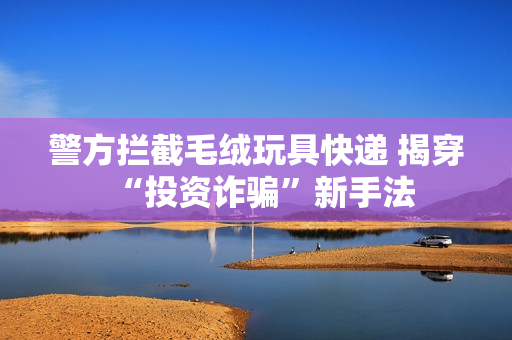 警方拦截毛绒玩具快递 揭穿“投资诈骗”新手法