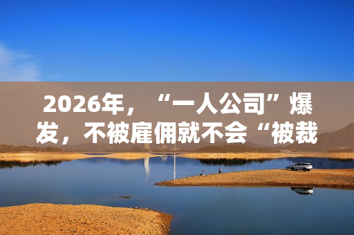 2026年，“一人公司”爆发，不被雇佣就不会“被裁”