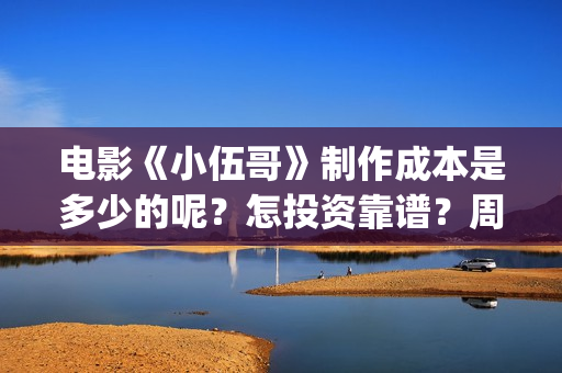 电影《小伍哥》制作成本是多少的呢？怎投资靠谱？周期是多久的呢？(电影小伍哥出品方是谁)