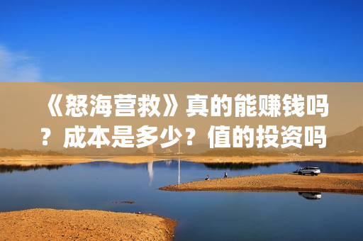 《怒海营救》真的能赚钱吗？成本是多少？值的投资吗？(怒海营救什么时候开机)