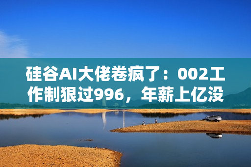 硅谷AI大佬卷疯了：002工作制狠过996，年薪上亿没时间花
