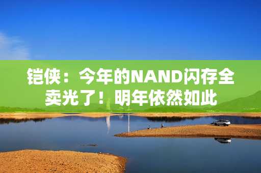 铠侠：今年的NAND闪存全卖光了！明年依然如此