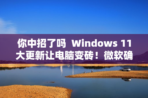 你中招了吗  Windows 11大更新让电脑变砖！微软确认翻车：目前尚无修复方案