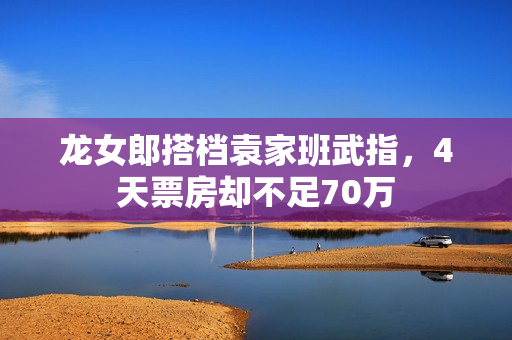 龙女郎搭档袁家班武指，4天票房却不足70万