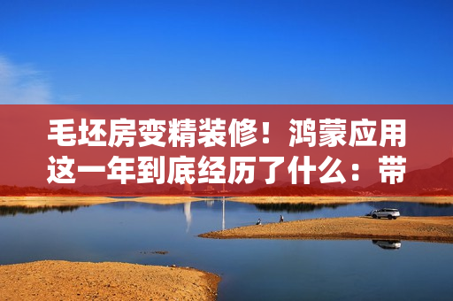 毛坯房变精装修！鸿蒙应用这一年到底经历了什么：带你们来感受下