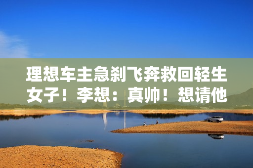 理想车主急刹飞奔救回轻生女子！李想：真帅！想请他吃个饭