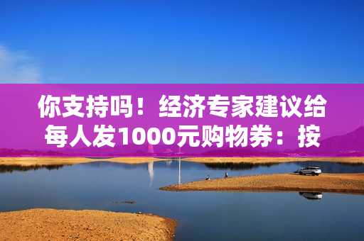 你支持吗！经济专家建议给每人发1000元购物券：按身份证发、没任何限制