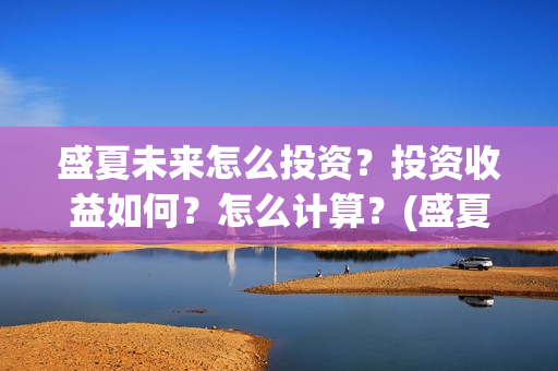 盛夏未来怎么投资？投资收益如何？怎么计算？(盛夏未来怎么了)