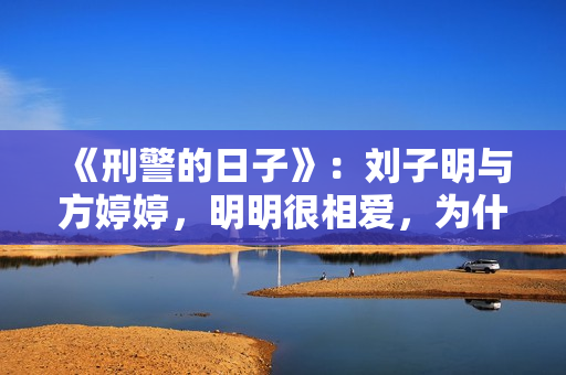 《刑警的日子》：刘子明与方婷婷，明明很相爱，为什么却要分开？