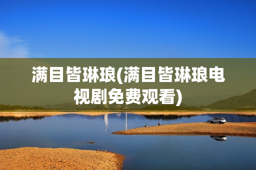 满目皆琳琅(满目皆琳琅电视剧免费观看)