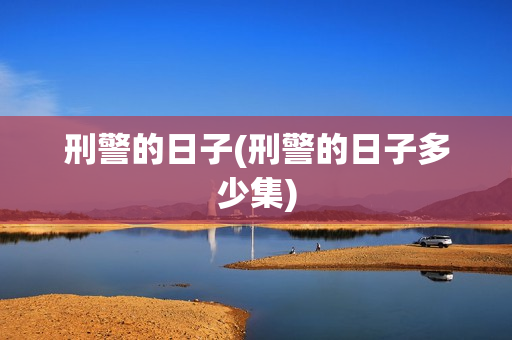 刑警的日子(刑警的日子多少集)