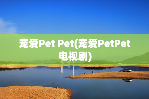 宠爱Pet Pet(宠爱PetPet电视剧)