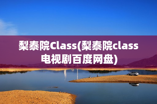 梨泰院Class(梨泰院class电视剧百度网盘)