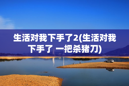 生活对我下手了2(生活对我下手了 一把杀猪刀)