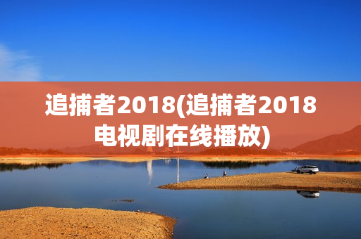 追捕者2018(追捕者2018电视剧在线播放)