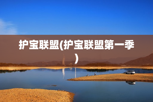 护宝联盟(护宝联盟第一季)