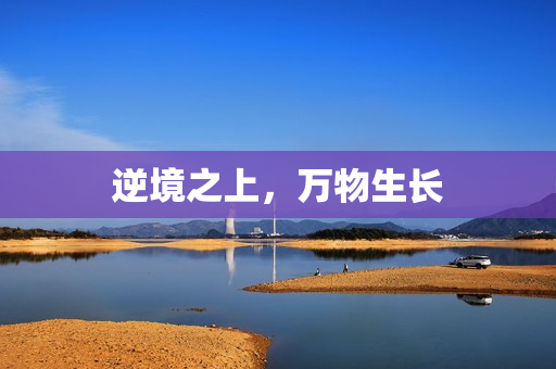 逆境之上，万物生长