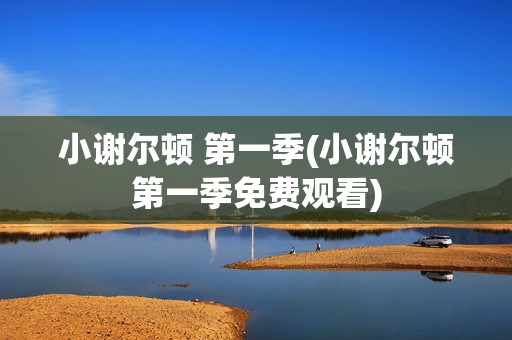 小谢尔顿 第一季(小谢尔顿第一季免费观看)