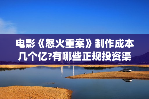 电影《怒火重案》制作成本几个亿?有哪些正规投资渠道？(电影《怒火重案》在线看)