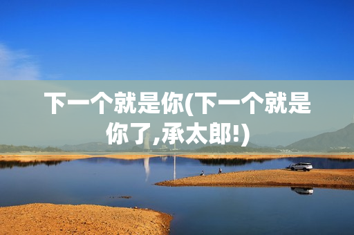 下一个就是你(下一个就是你了,承太郎!)