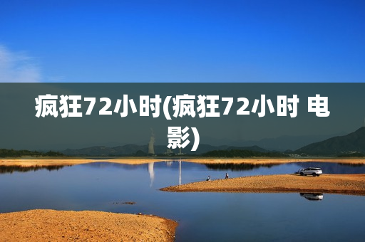 疯狂72小时(疯狂72小时 电影)
