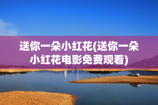 送你一朵小红花(送你一朵小红花电影免费观看)