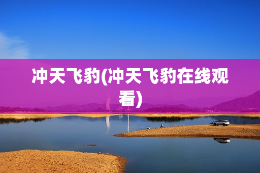 冲天飞豹(冲天飞豹在线观看)