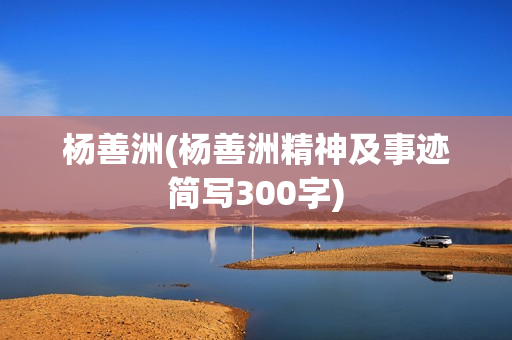 杨善洲(杨善洲精神及事迹简写300字)