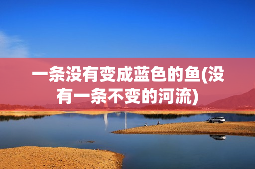 一条没有变成蓝色的鱼(没有一条不变的河流)