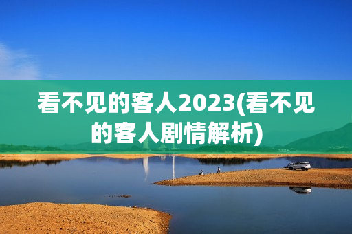 看不见的客人2023(看不见的客人剧情解析)