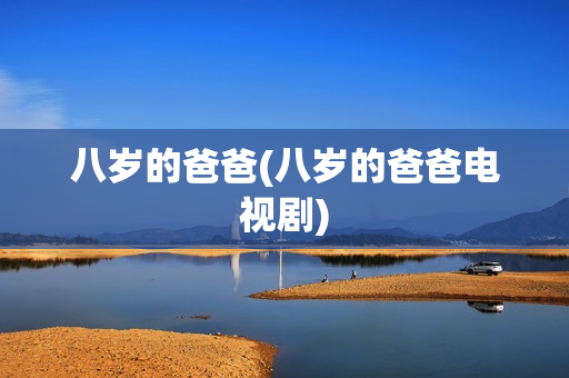 八岁的爸爸(八岁的爸爸电视剧)