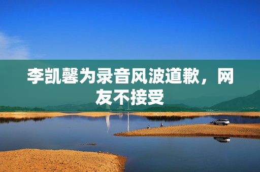 李凯馨为录音风波道歉，网友不接受