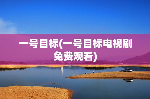 一号目标(一号目标电视剧免费观看)