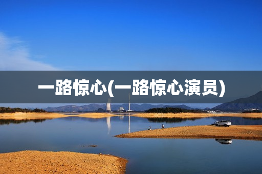 一路惊心(一路惊心演员)