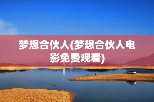 梦想合伙人(梦想合伙人电影免费观看)