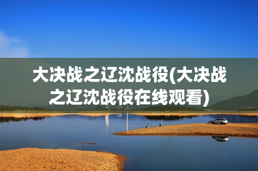 大决战之辽沈战役(大决战之辽沈战役在线观看)