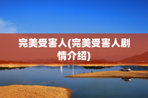 完美受害人(完美受害人剧情介绍)