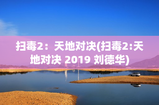 扫毒2：天地对决(扫毒2:天地对决 2019 刘德华)