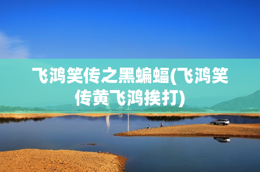 飞鸿笑传之黑蝙蝠(飞鸿笑传黄飞鸿挨打)