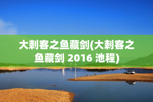 大刺客之鱼藏剑(大刺客之鱼藏剑 2016 池程)